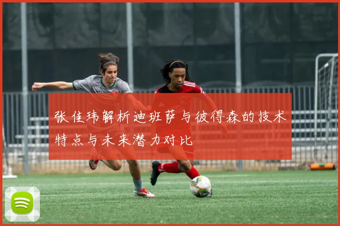 张佳玮解析迪班萨与彼得森的技术特点与未来潜力对比