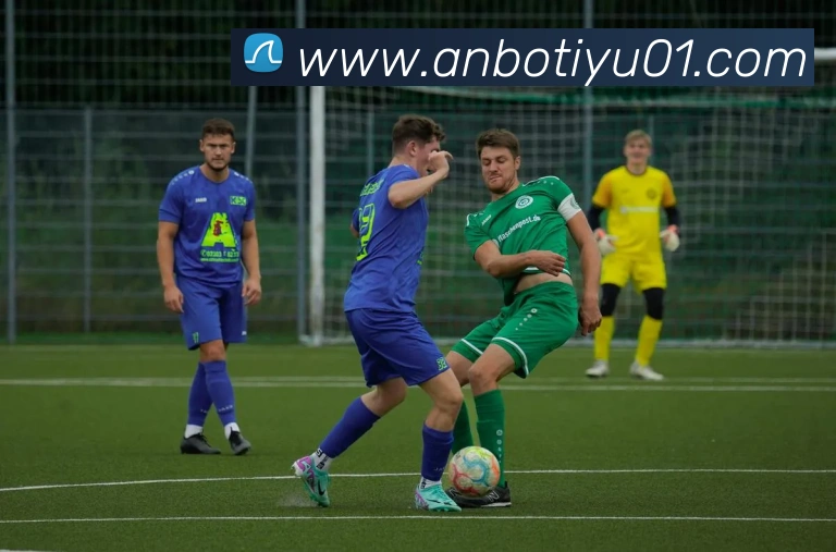 多媒体互动体验